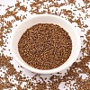 MIYUKI Delica Beads SEED-X0054-DB0505-2