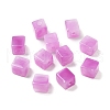 Transparent Acrylic Beads OACR-A021-14B-1