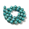 Dyed Natural Howlite Beads Strands G-G023-B01-01C-3