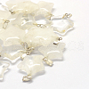 Star Natural Crystal Pendants G-Q367-07-1