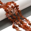 Natural South Red Agate Chips Bead Strands G-M205-40-1