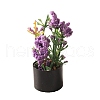 Plastic Flower Miniature Ornaments PW-WGBFED3-01-1