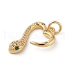 Brass Micro Pave Cubic Zirconia Pendants ZIRC-P121-03A-G-2