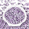 Baking Paint Glass Seed Beads SEED-N008-06E-2