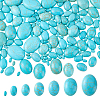  160Pcs 7 Sizes Synthetic Turquoise Cabochons G-PH0002-69A-1