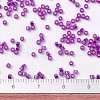 MIYUKI Delica Beads X-SEED-J020-DB1340-4
