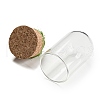Natural Gemstone Nuggets Display Decoration with Glass Dome Cloche Cover DJEW-B009-04-4