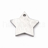 Tarnish Resistant 304 Stainless Steel Pendants STAS-F271-04A-P-2