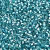 Glass Seed Beads X-SEED-S042-04B-23-3