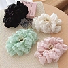 Resin Claw Hair Clips PW-WGFA00C-01-2