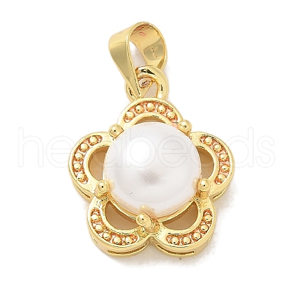 Rack Plating Brass Pendants KK-K293-21C-G-1