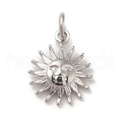 Non-Tarnish 304 Stainless Steel Charms STAS-G295-03P-1