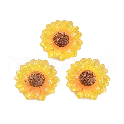 Flower Series Resin Cabochons CRES-Q008-01G-1