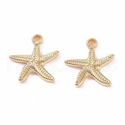 304 Stainless Steel Charms STAS-B024-59G-1
