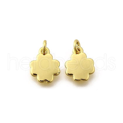 Brass Charms KK-I275-15G-02-1