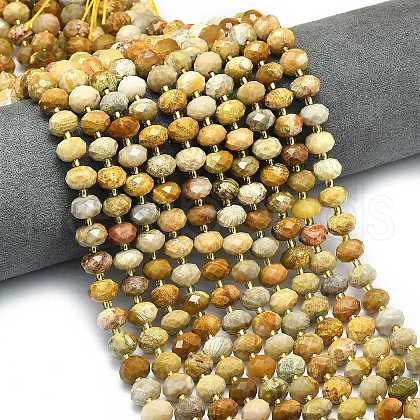 Natural Fossil Coral Beads Strands G-P573-A02-01-1