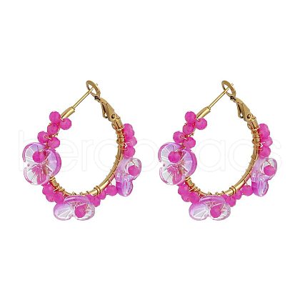 201 Stainless Steel Acrylic Hoop Earrings FS-WG443EA-14-1