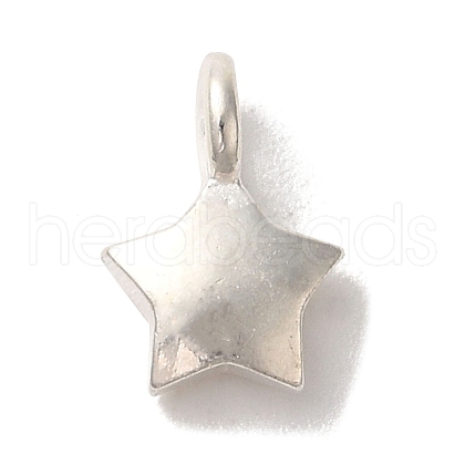 925 Sterling Silver Charms FIND-U013-06S-02-1