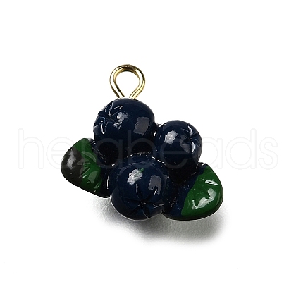 Brass Acrylic Pendants OACR-R006-01G-09-1