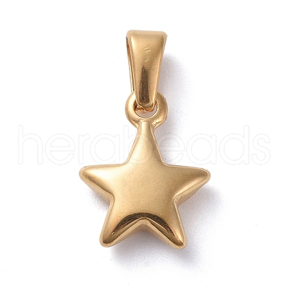 304 Stainless Steel Charms X-STAS-I127-067G-1