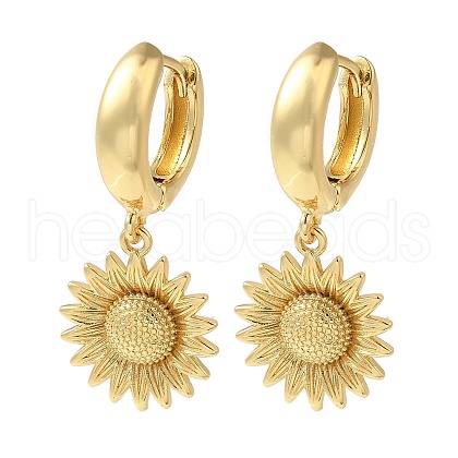 Rack Plating Brass Hoop Earrings EJEW-B062-40G-1