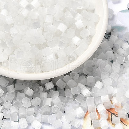 Glass Seed Beads X1-SEED-H002-D-A801-1