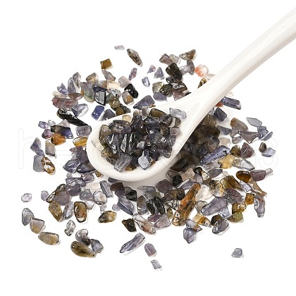 Natural Iolite Beads Chip Beads G-Q193-10C-1