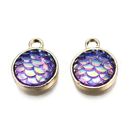 Alloy Resin Charms PALLOY-T056-24C-1