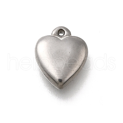 304 Stainless Steel Charms STAS-C119-05P-1