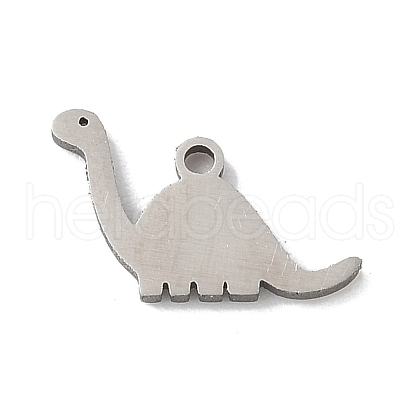 304 Stainless Steel Charms STAS-S174-17P-1