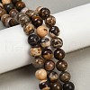 Natural Zebra Jasper Beads Strands G-F792-C13-01-1