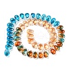 Transparent Glass Beads Strands GLAA-B014-01B-1