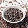 MIYUKI Round Rocailles Beads SEED-X0055-RR0342-2
