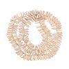 Electroplate Glass Beads Strands EGLA-C005-01A-PL02-2