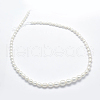 Natural Cultured Freshwater Pearl Beads Strands PEAR-K003-21C-2