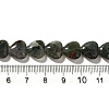 Natural African Bloodstone Beads Strands G-R190-10mm-56-5