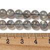 Natural Labradorite Beads Strands G-F602-04A-2