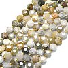 Natural Bamboo Leaf Agate Beads Strands G-C116-A91-01-2