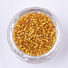 Cylinder Seed Beads SEED-Q036-02A-A01-2