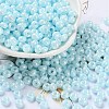 Glass Seed Beads SEED-L011-03A-05-1