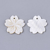 Freshwater Shell Pendants SHEL-N026-03-2