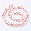 Shell Pearl Beads Strands BSHE-L035-8mm-I-3