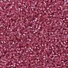 MIYUKI Delica Beads SEED-X0054-DB1338-3