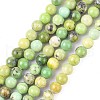 Natural Serpentine Beads Strands G-N166-6-1