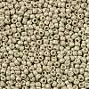 TOHO Round Seed Beads X-SEED-TR11-0558F-2