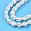 Natural Cultured Freshwater Pearl Beads Strands PEAR-N012-04Y-01-4