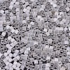 MIYUKI Delica Beads SEED-X0054-DB0673-3