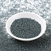 MIYUKI Round Rocailles Beads X-SEED-G007-RR0178-2