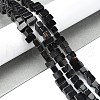 Natural Black Onyx Beads Strands G-C135-O01-01-2
