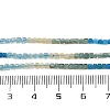 Natural Blue Green Yellow Apatite Beads Strands G-NH0050-B01-01-6